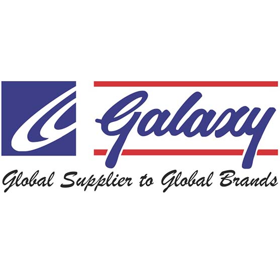 somya-work-llp-complete-it-soltuion